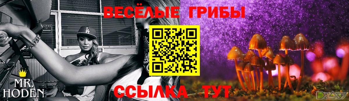 Псилоцибиновые грибы мицелий  Вход с VPN  как найти закладки  Мелеуз 